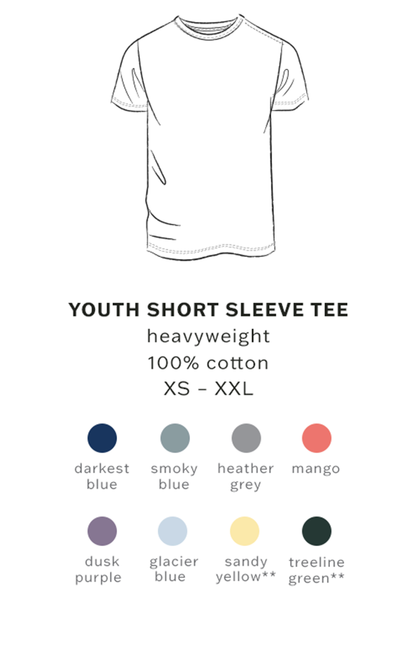 Youth short sleeve tee with color swatches for various shades on a white background